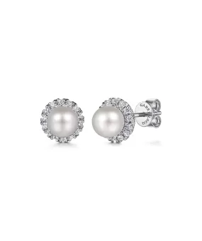 14K White Gold PL - Pearl stud Earrings