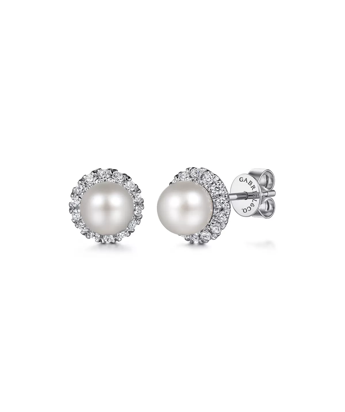 14K White Gold PL - Pearl stud Earrings