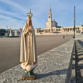 Pilgrim Our Lady of Fatima [Special Edition]