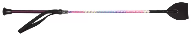 Pony Club Whip Rainbow