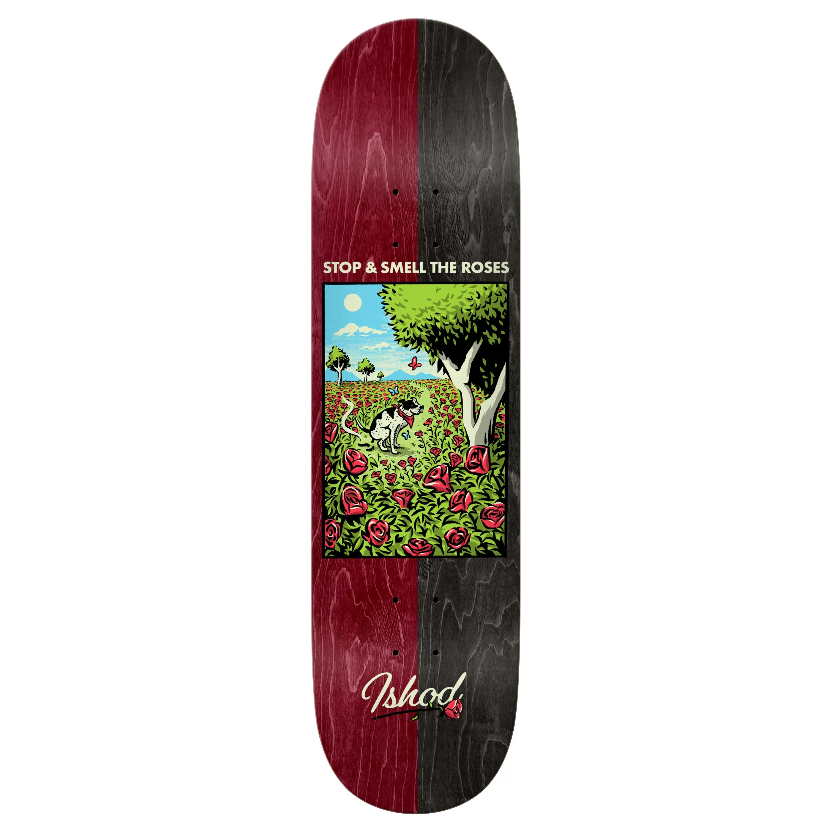 Real Ishod Brightside Deck True Fit 8.38