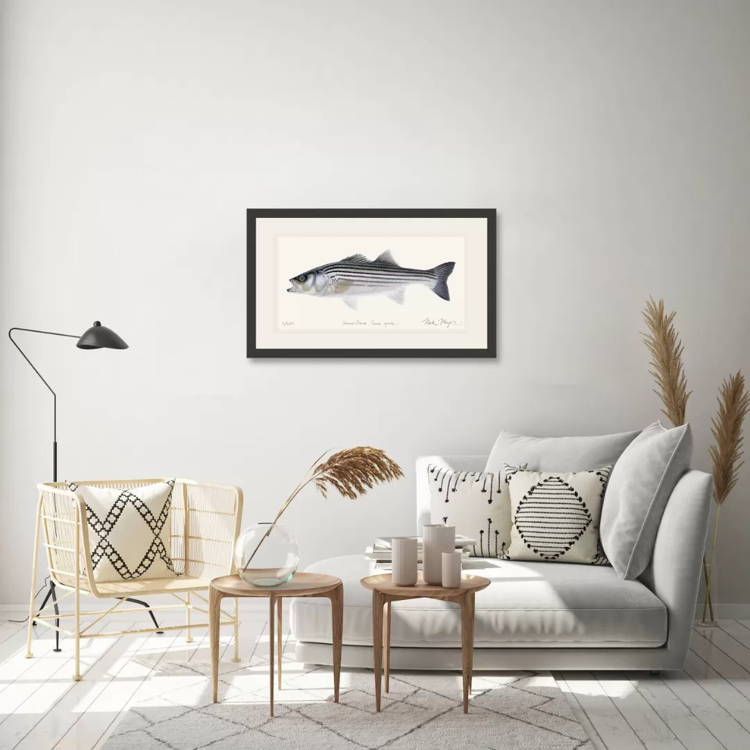 Schoolie Striped Bass Print - Best Seller