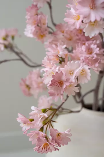 Spring Blossom Botanical Sprig