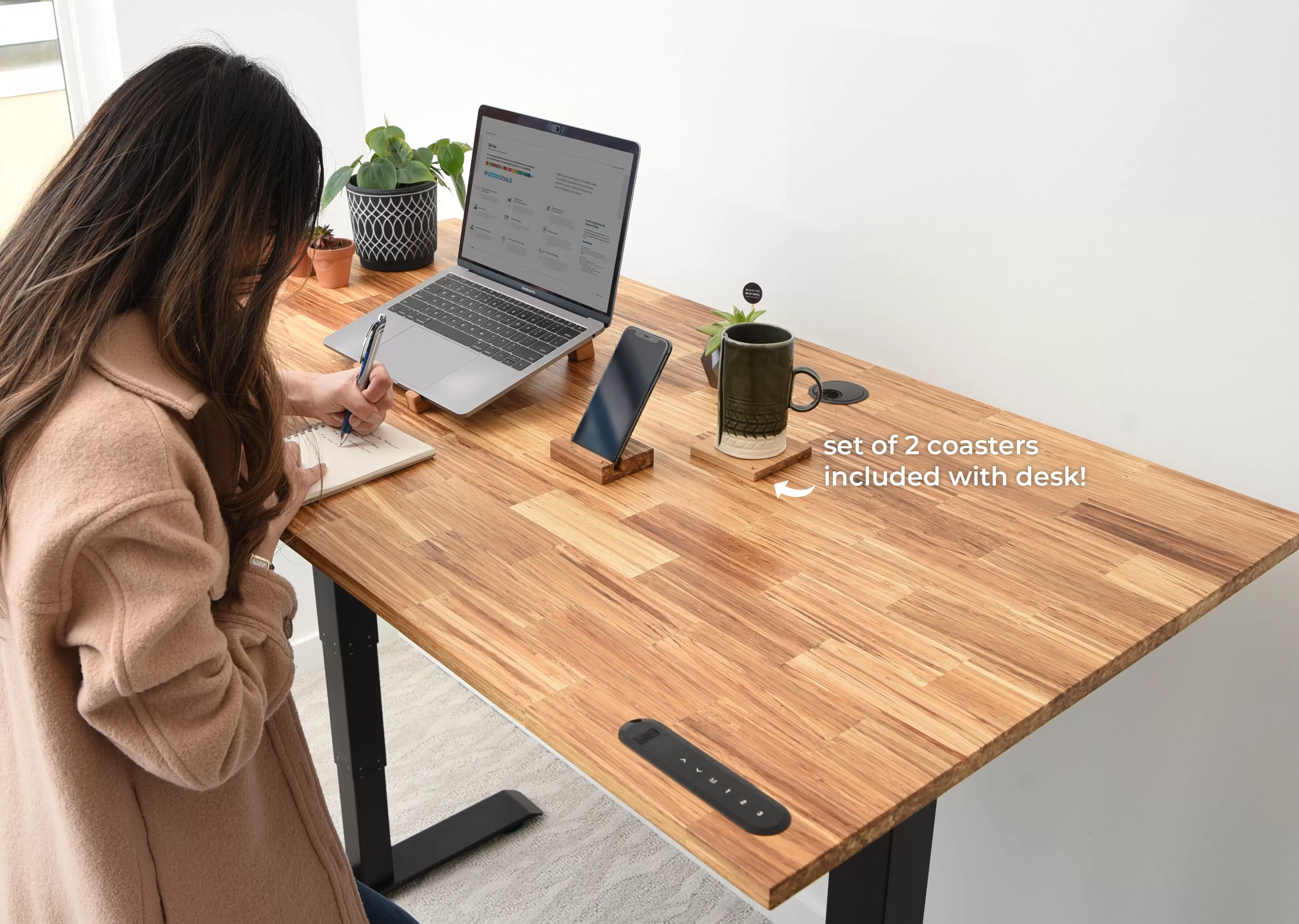 TerraDesk | Eco-Friendly Height-Adjustable Electric Standing Desk