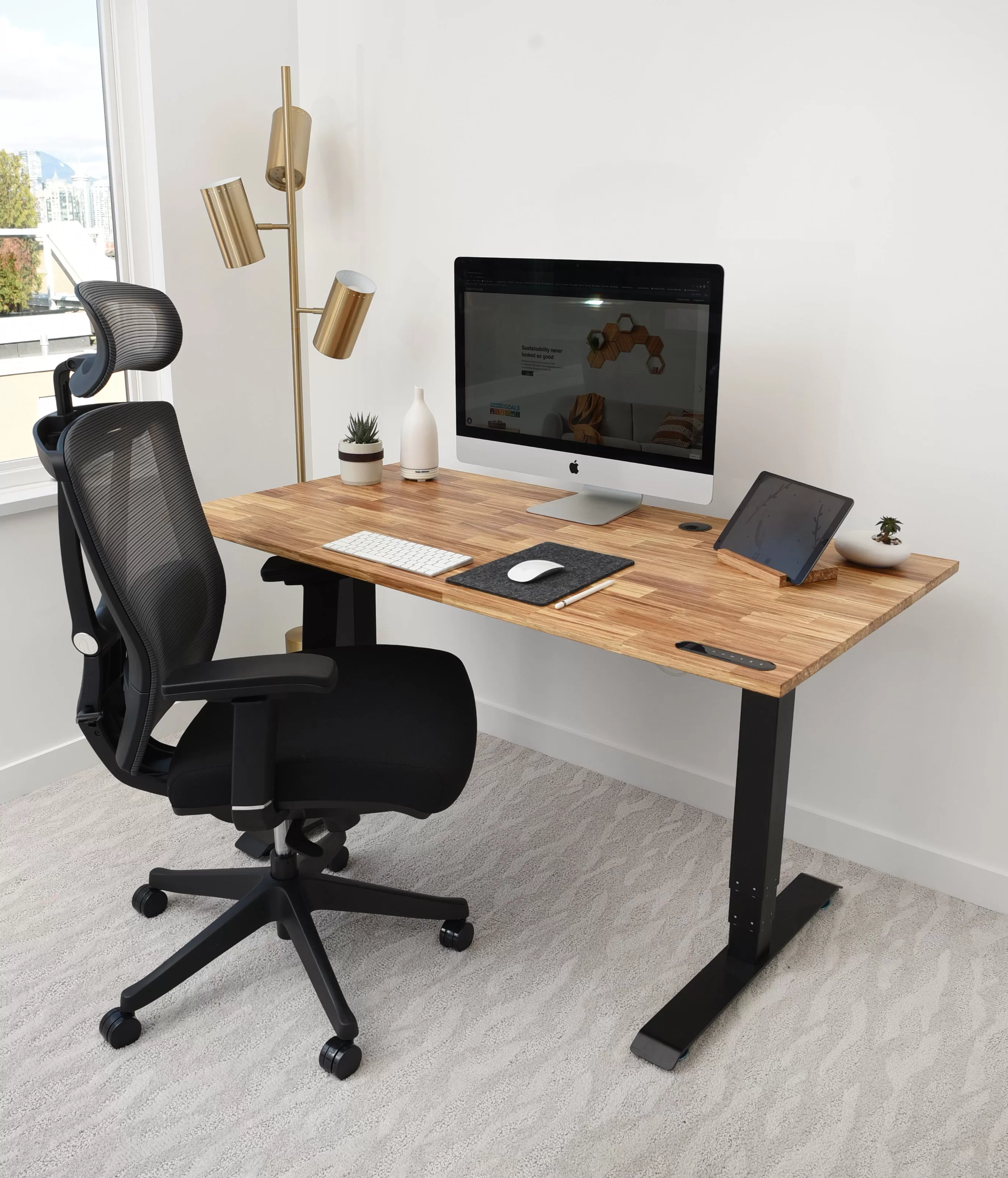 TerraDesk | Eco-Friendly Height-Adjustable Electric Standing Desk