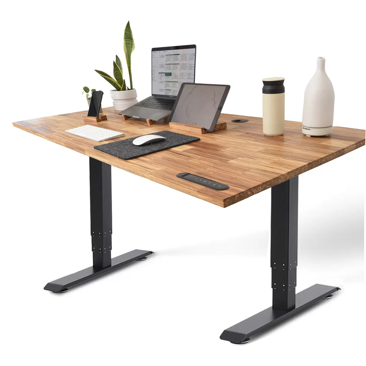 TerraDesk | Eco-Friendly Height-Adjustable Electric Standing Desk