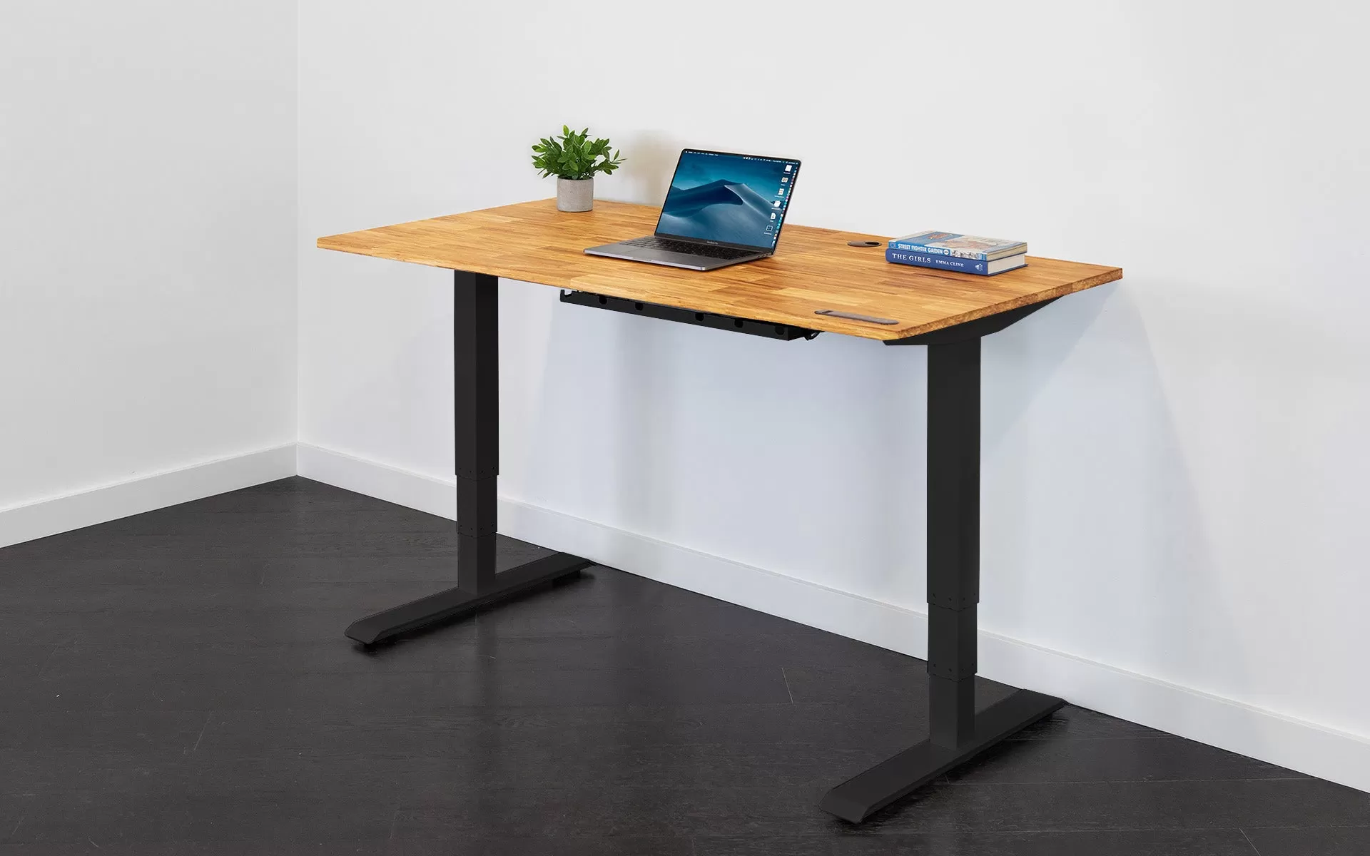 TerraDesk | Eco-Friendly Height-Adjustable Electric Standing Desk