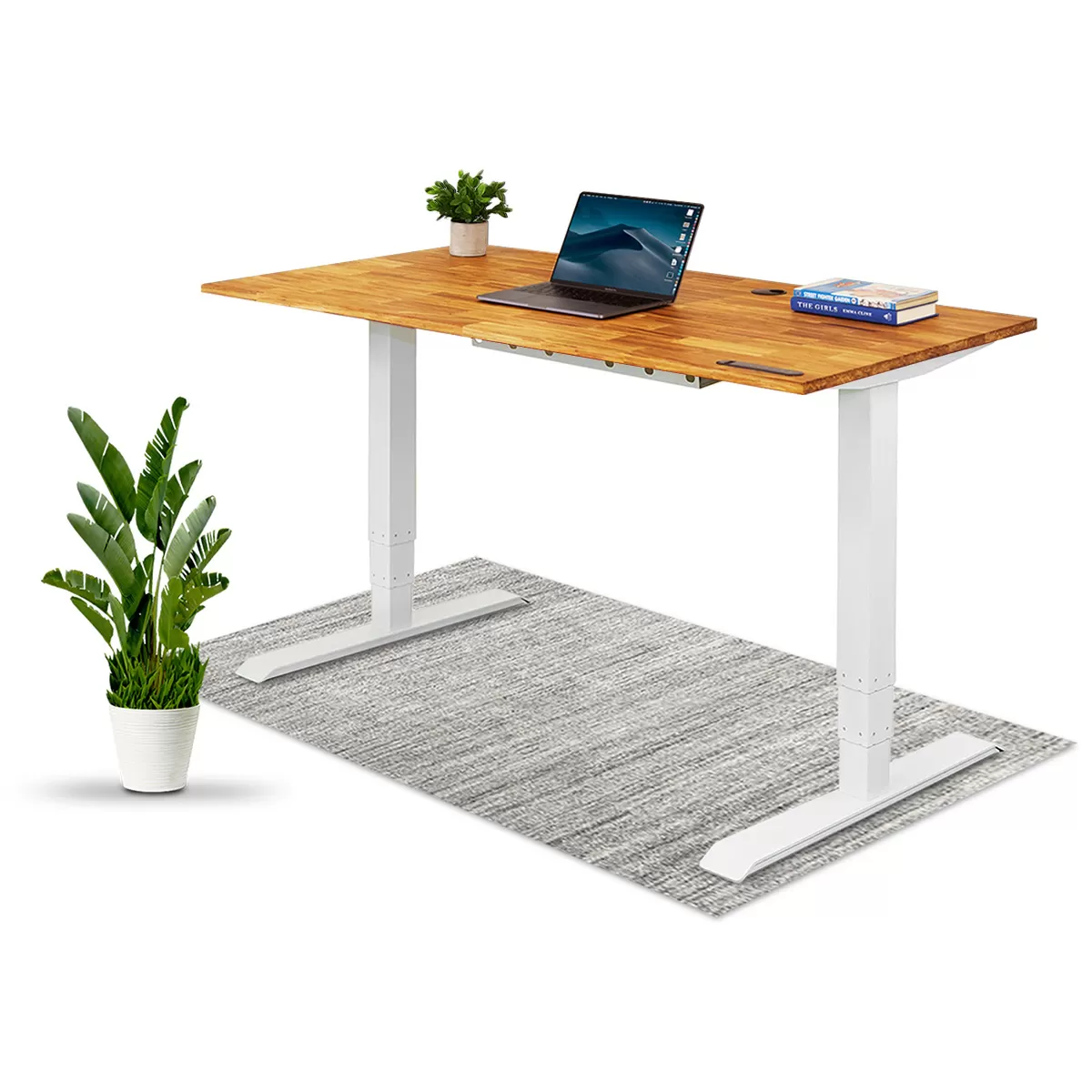 TerraDesk | Eco-Friendly Height-Adjustable Electric Standing Desk