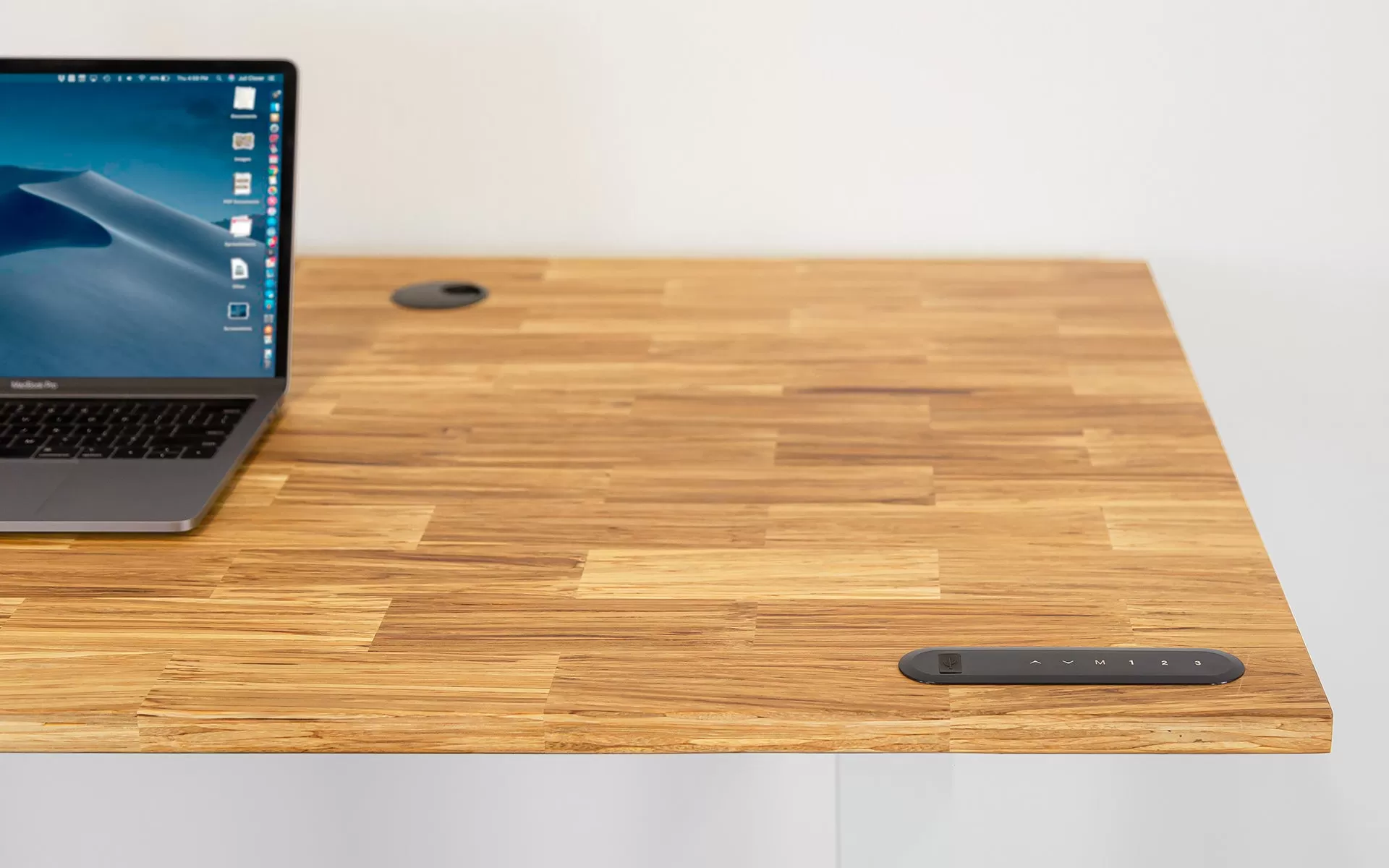 TerraDesk | Eco-Friendly Height-Adjustable Electric Standing Desk