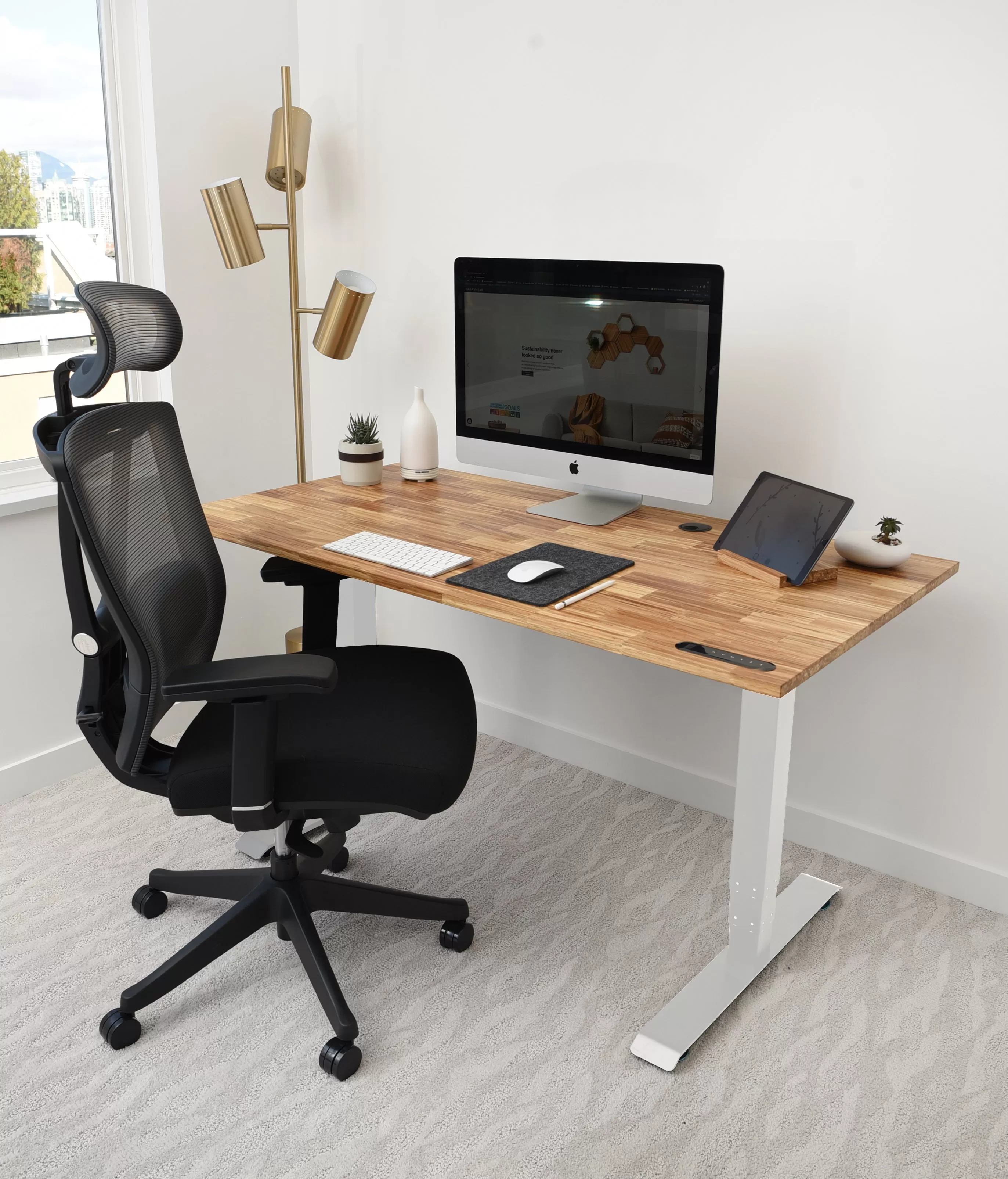 TerraDesk | Eco-Friendly Height-Adjustable Electric Standing Desk