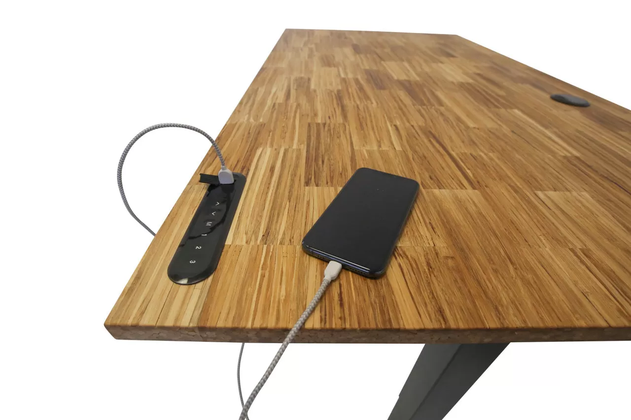 TerraDesk | Eco-Friendly Height-Adjustable Electric Standing Desk