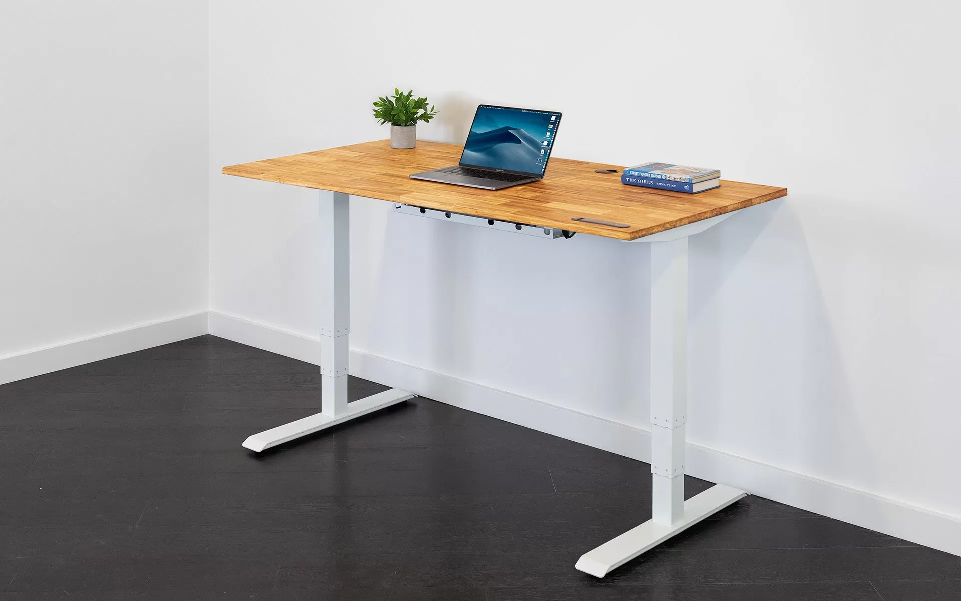 TerraDesk | Eco-Friendly Height-Adjustable Electric Standing Desk