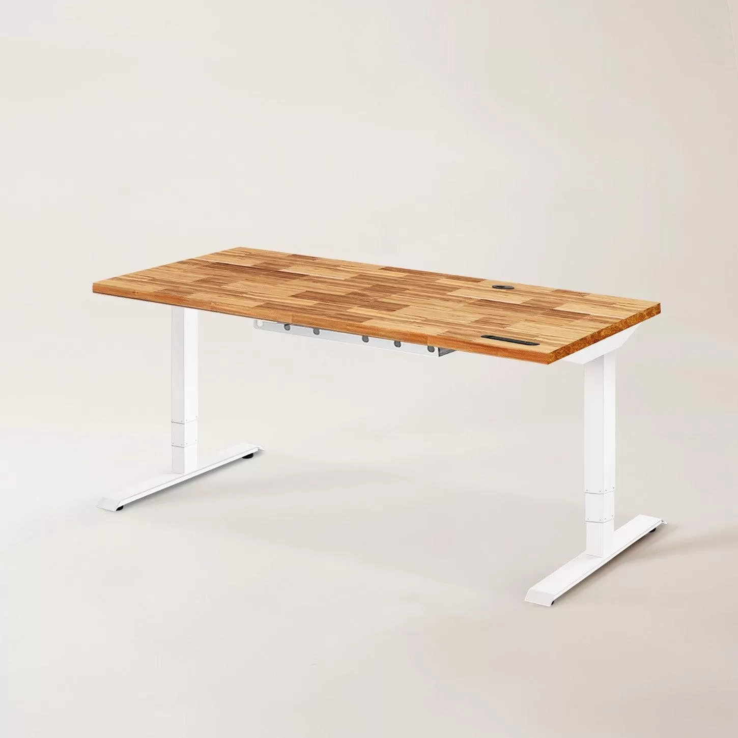 TerraDesk | Eco-Friendly Height-Adjustable Electric Standing Desk