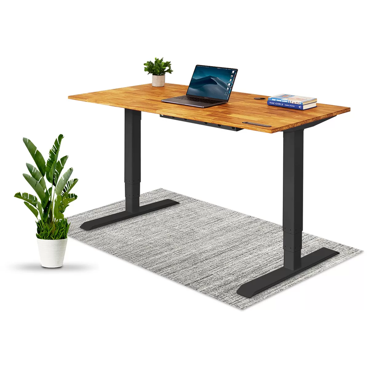 TerraDesk | Eco-Friendly Height-Adjustable Electric Standing Desk