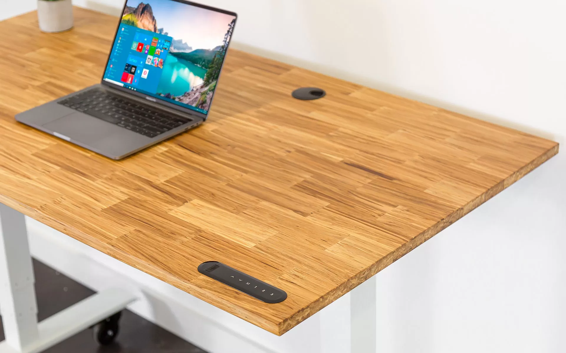 TerraDesk | Eco-Friendly Height-Adjustable Electric Standing Desk