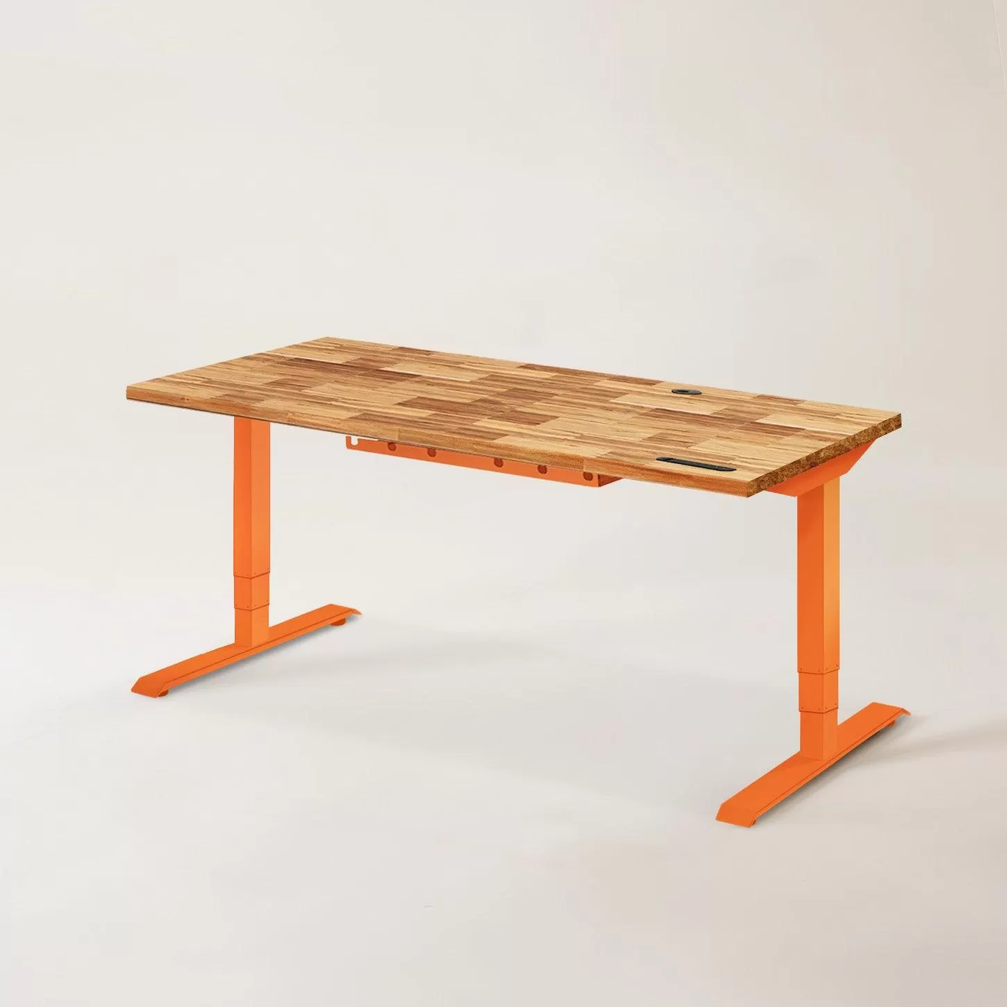 TerraDesk | Eco-Friendly Height-Adjustable Electric Standing Desk