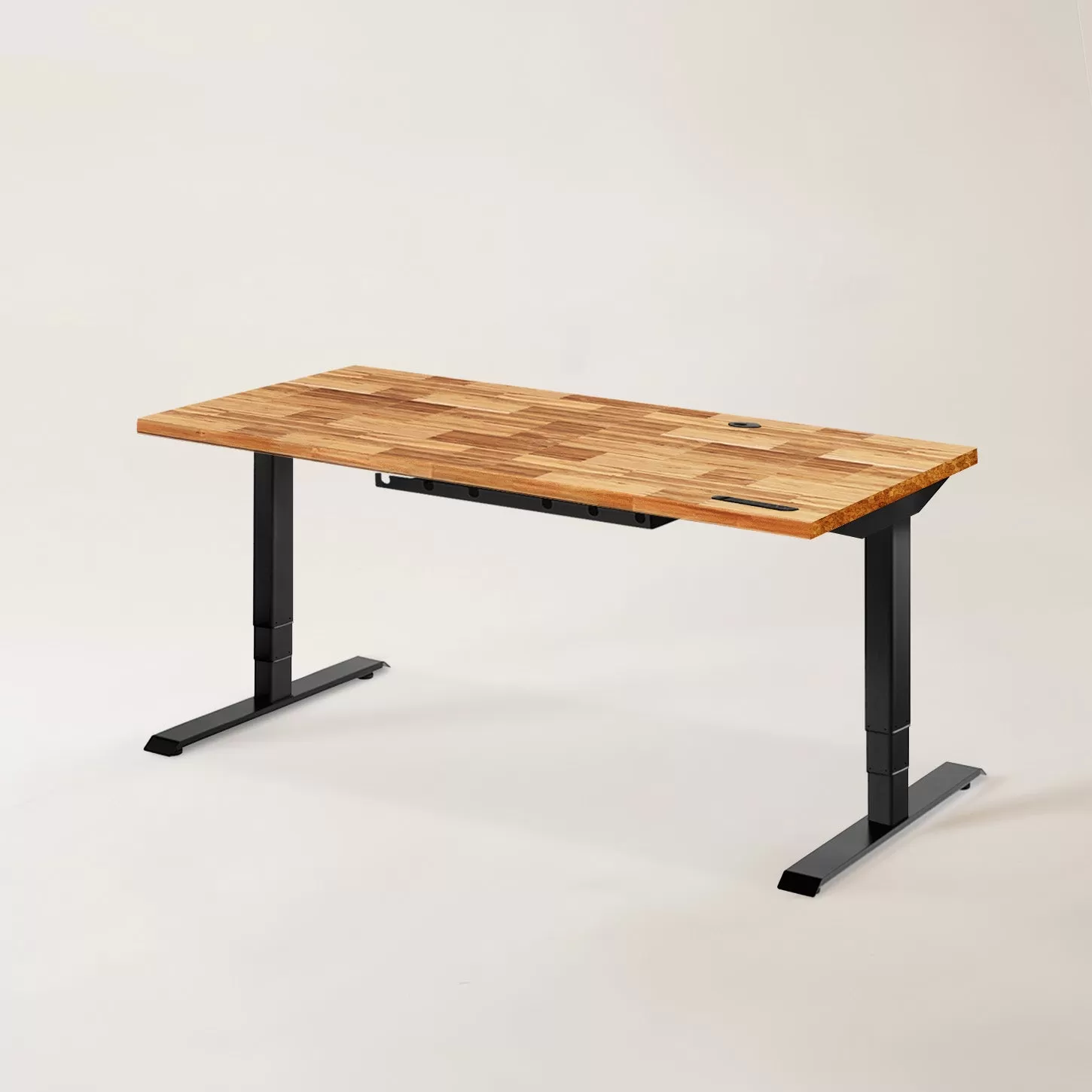 TerraDesk | Eco-Friendly Height-Adjustable Electric Standing Desk