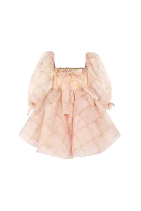 The Duckling Mini Shabby Chic Dress