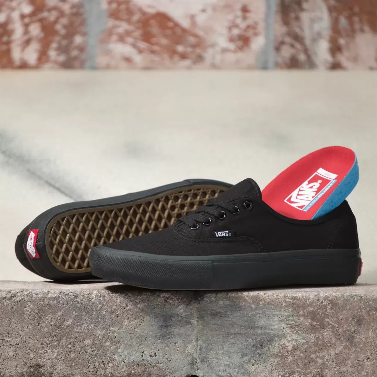 Vans Authentic Pro Black/Black